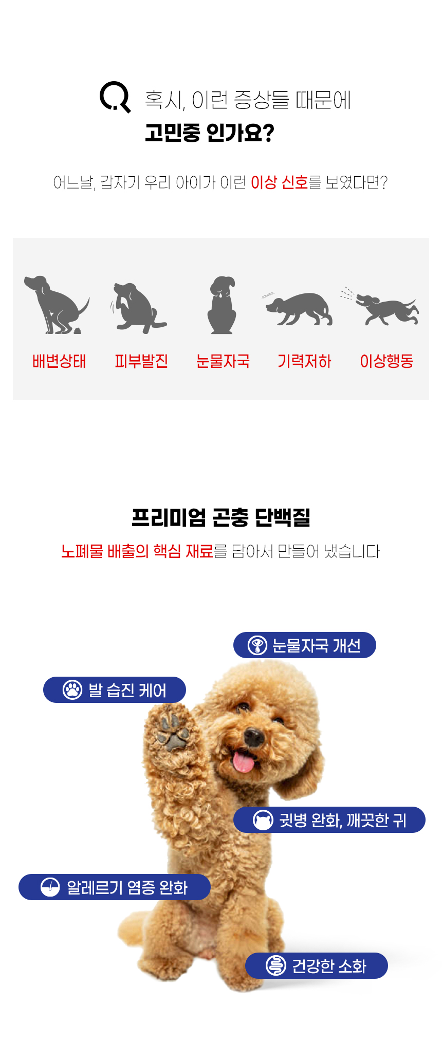 [무료배송] [4개] 더보양 독 보양진지 천연 단백질 저알레르기 곤충사료 300g 9번째