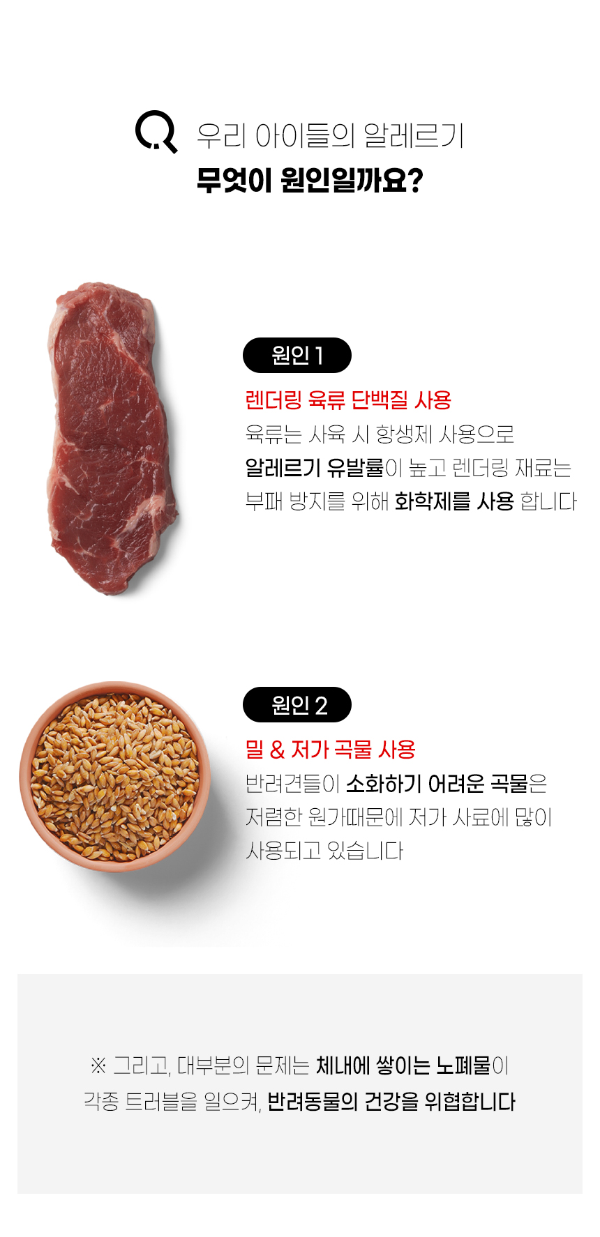 [무료배송] [4개] 더보양 독 보양진지 천연 단백질 저알레르기 곤충사료 300g 8번째