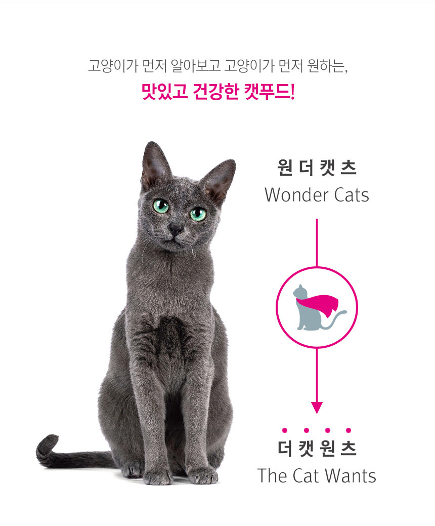 [NEW신상][무료배송] 천하제일사료 원더캣츠 10kg 7번째