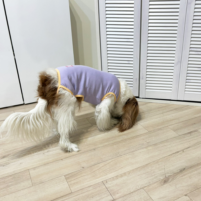 [무료배송] 해피댕댕 러브바디수트 S - 2XL 14번째