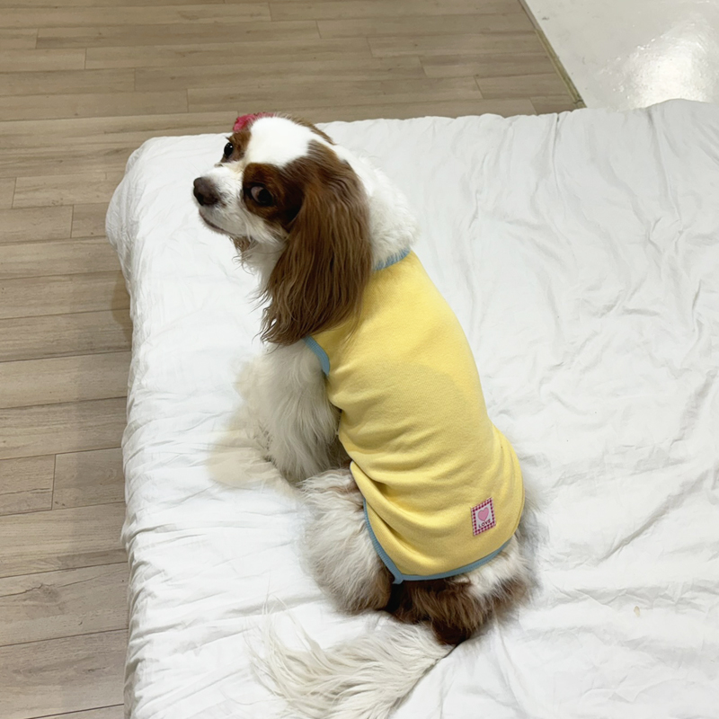 [무료배송] 해피댕댕 러브바디수트 S - 2XL 6번째
