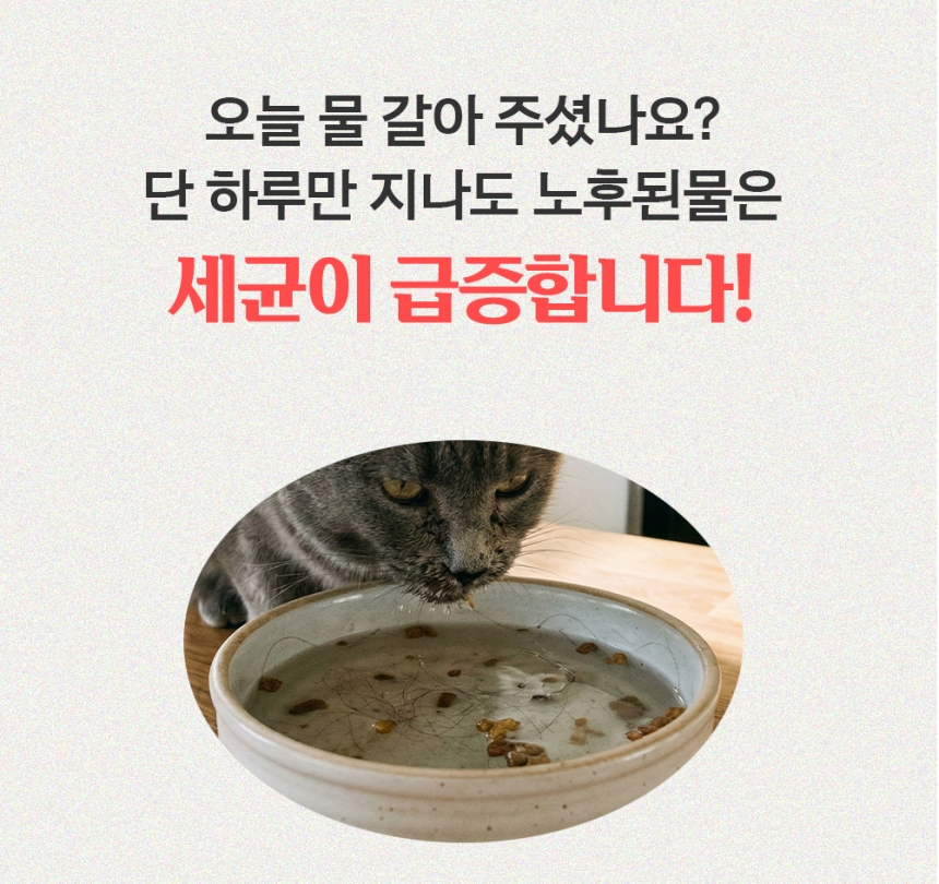 [NEW신상][무료배송] 묘향가 필터제로 ai센서 무선무소음 자동급수기 6번째