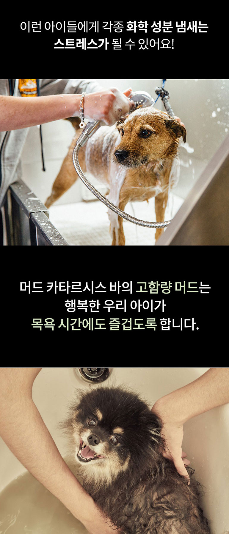 [무료배송] 머디 머드 카타르시스 바 200g 13번째
