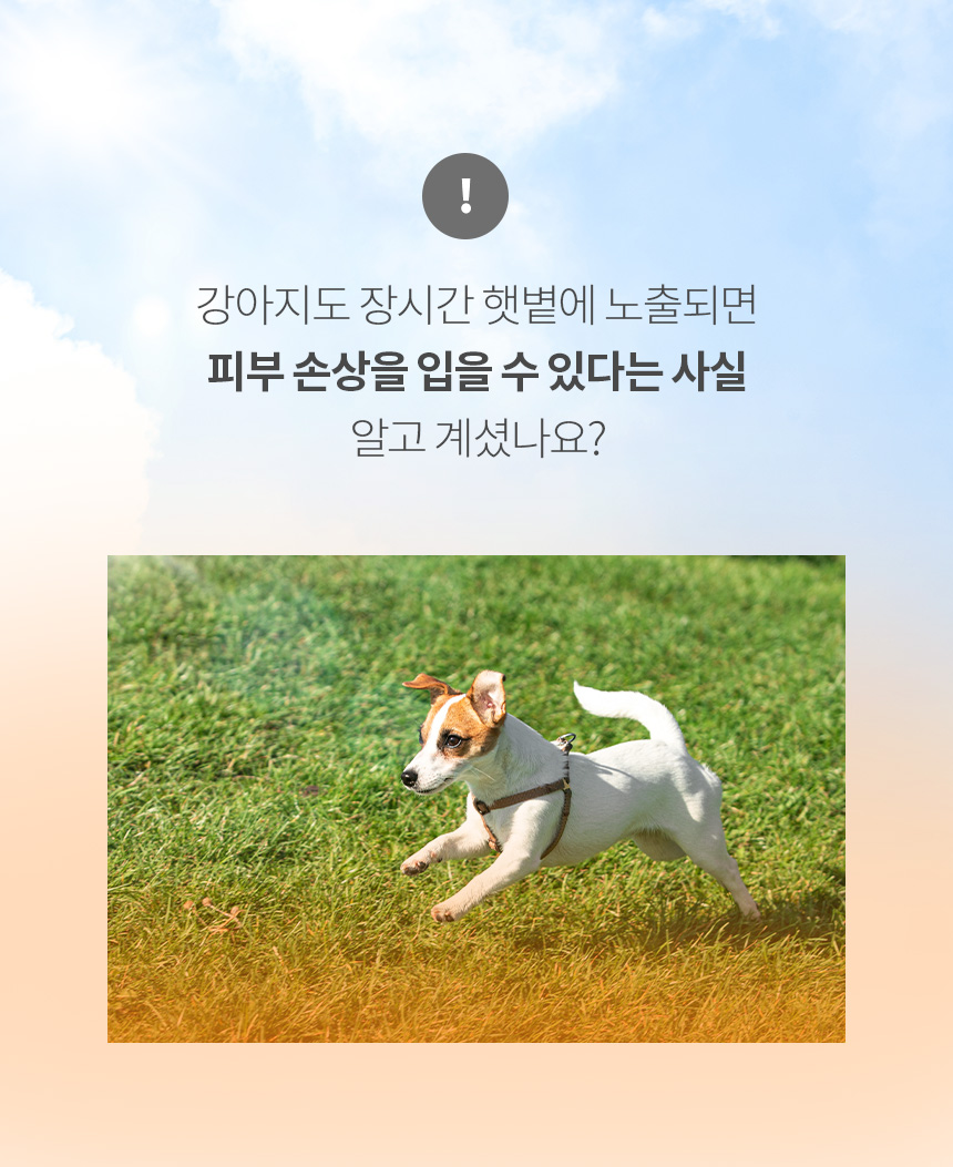 [NEW신상][무료배송] 페리가토 물놀이 래쉬가드 수영모자 세트 3번째