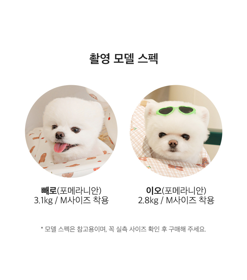 [NEW신상][무료배송] 페리가토 물놀이 래쉬가드 수영모자 세트 22번째