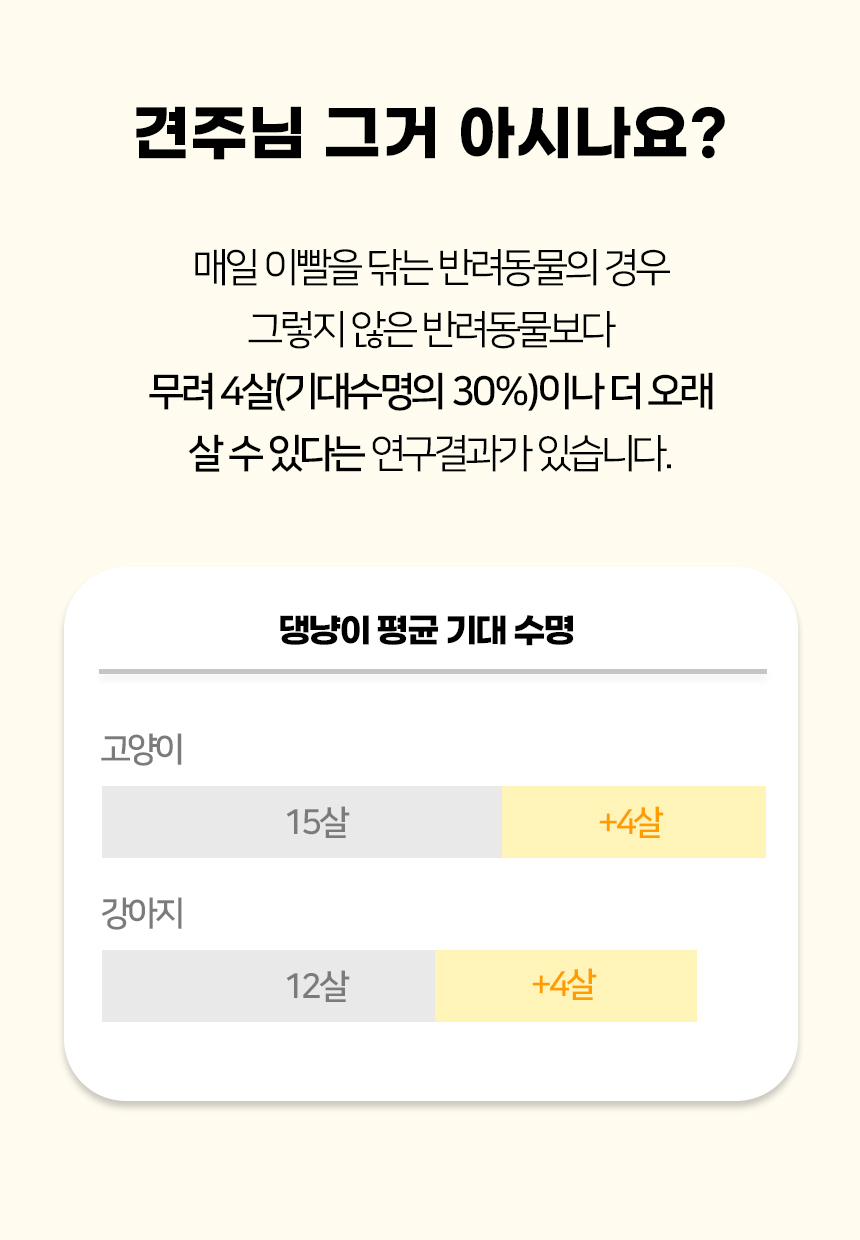 [NEW신상][무료배송] [색상랜덤] [3개] 개과천선 펫티스 칫솔 2번째