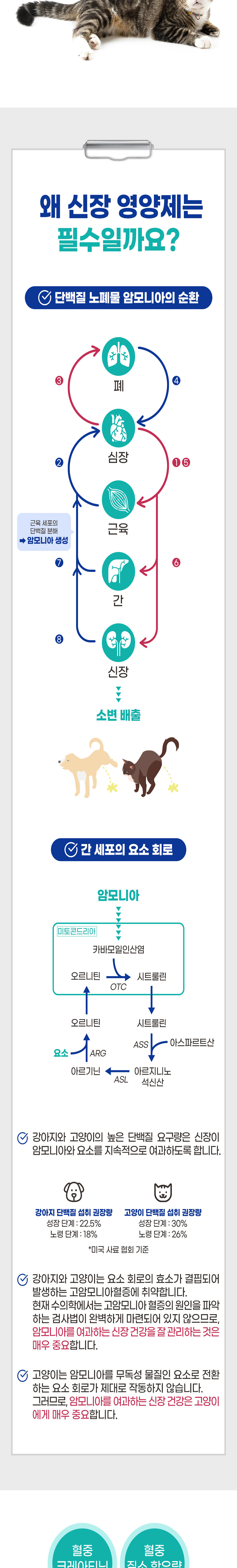 [무료배송] 브랜바인 유리나리 가디언 신장영양제 비타민A 쿠싱증후군 90일분 5번째