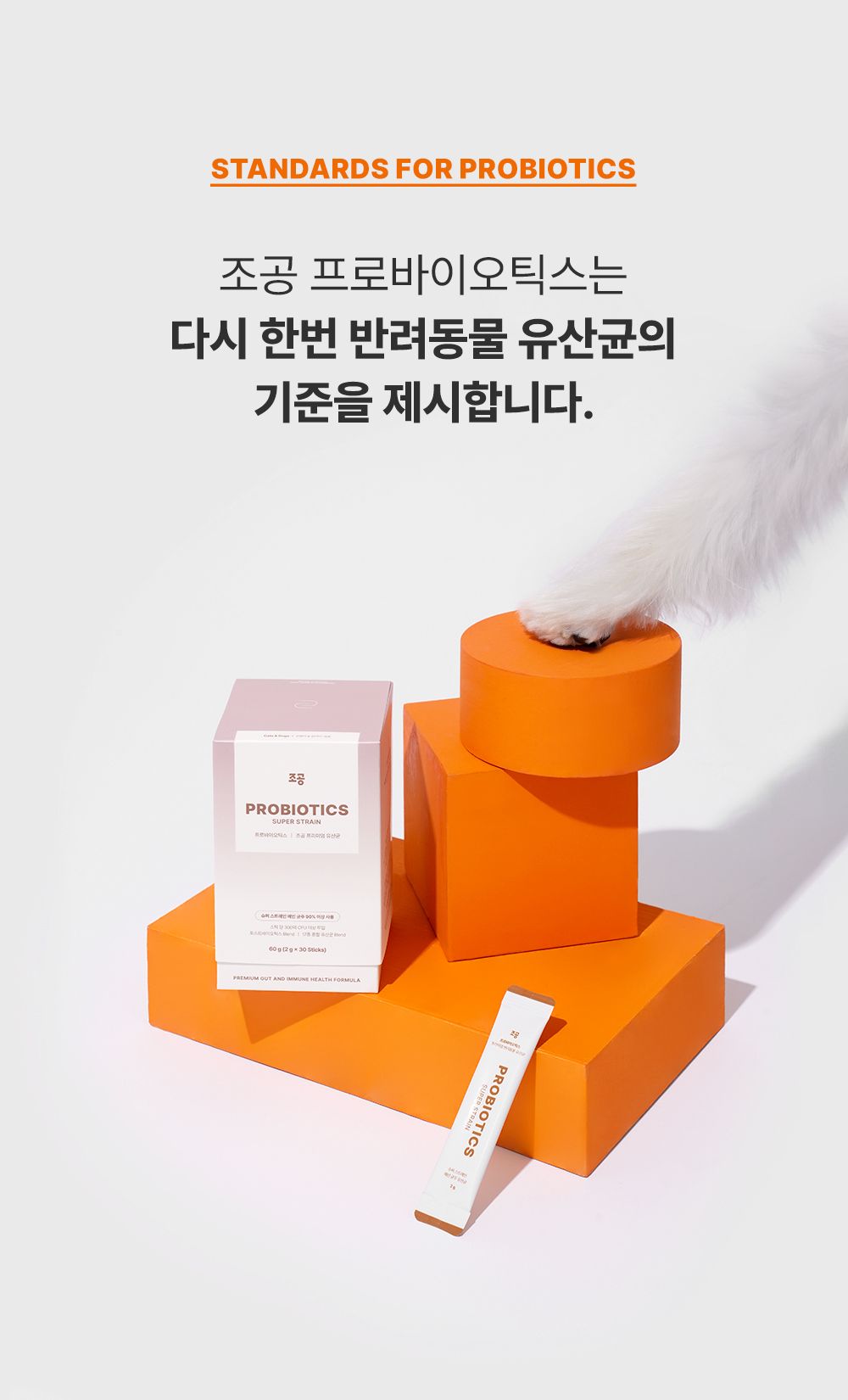 [체험단][체험팩] 조공 프로바이오틱스 2g*2p 19번째