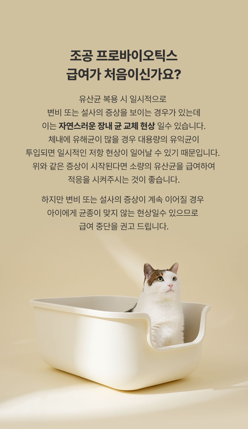 [체험단][체험팩] 조공 프로바이오틱스 2g*2p 21번째