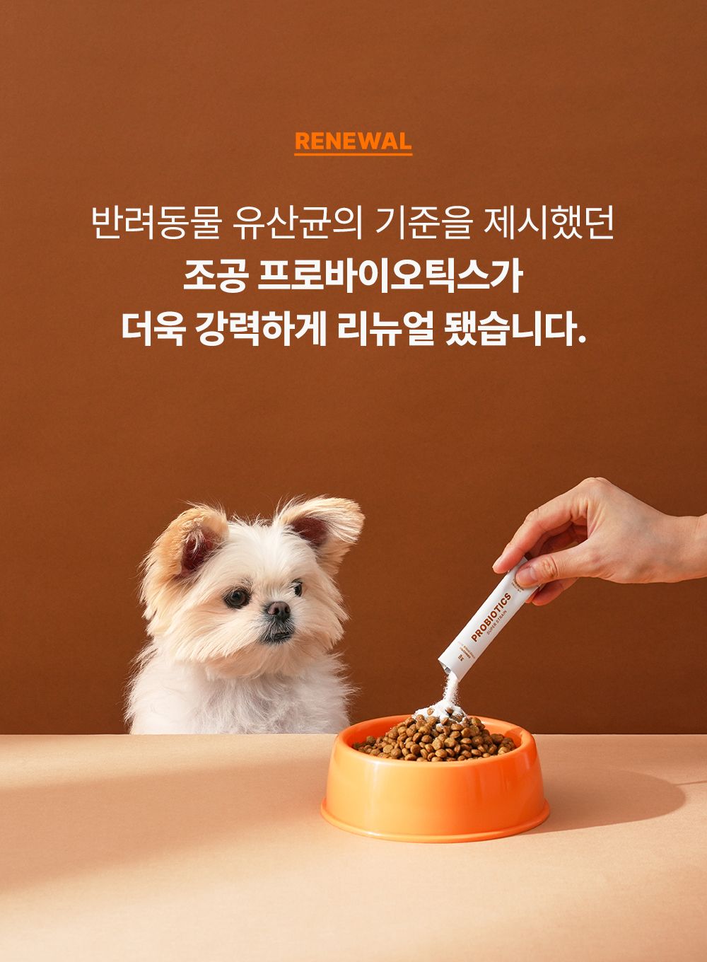 [체험단][체험팩] 조공 프로바이오틱스 2g*2p 3번째