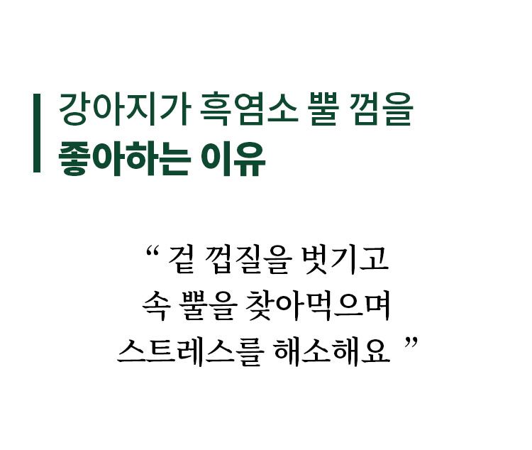[무료배송] 펫쉴드 독 흑염소 작은 뿔 껌 3번째