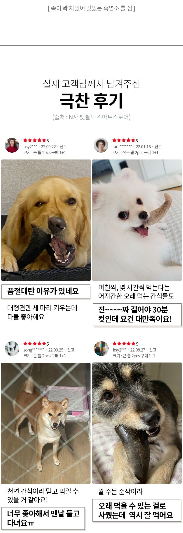 [무료배송] 펫쉴드 독 흑염소 작은 뿔 껌 4번째