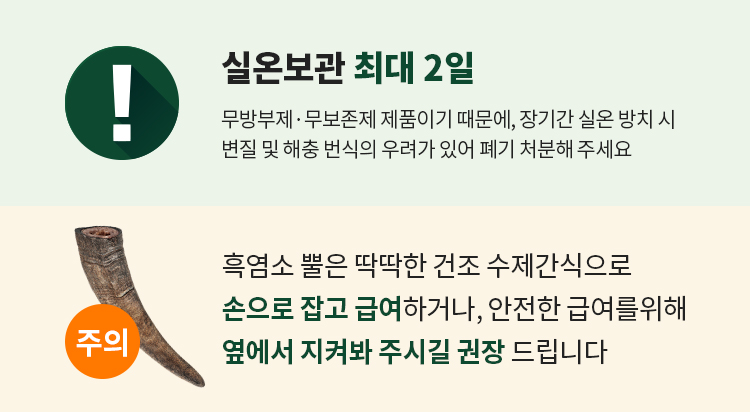 [무료배송] 펫쉴드 독 흑염소 작은 뿔 껌 2번째