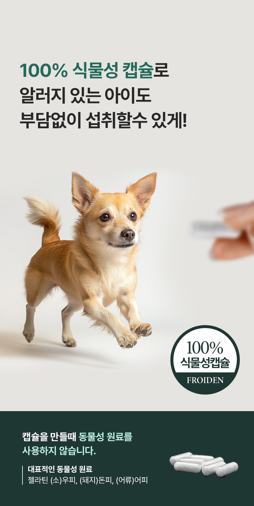 [NEW신상][무료배송] 프로이덴 독 조인트 무브 관절 활액 영양제 30캡 15번째