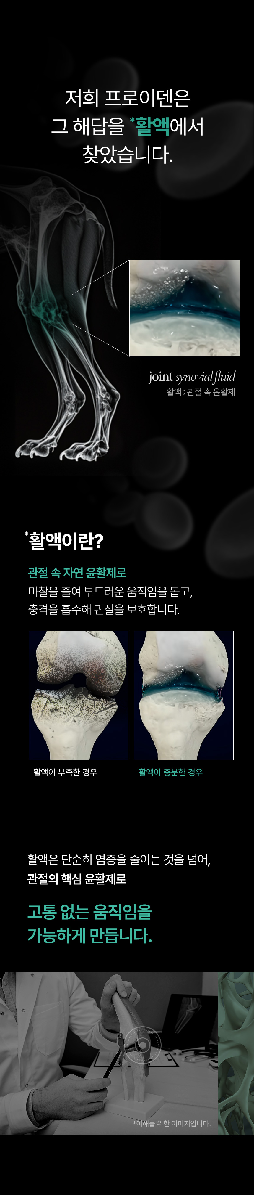 [NEW신상][무료배송] 프로이덴 독 조인트 무브 관절 활액 영양제 30캡 4번째