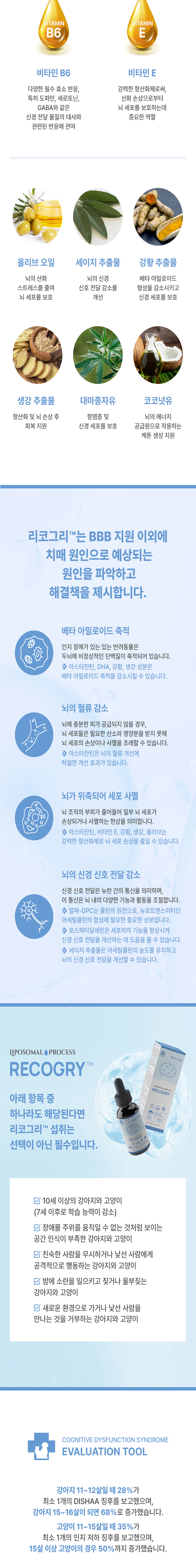 [무료배송] 브랜바인 리코그리 뇌 영양제 90ml 4번째