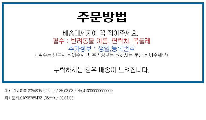 [NEW신상][무료배송] [주문제작] 레인보우스토리 써지컬 각인 목걸이 13종 6번째