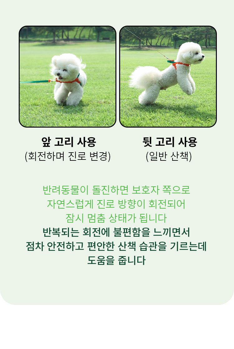 [무료배송] 펫쉴드 독 핸즈프리 하네스 세트 S-L 9번째