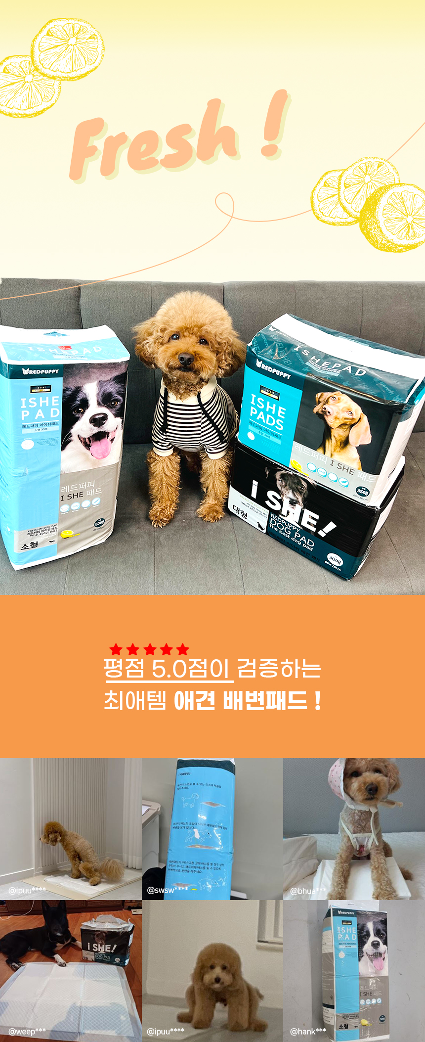 [NEW신상][무료배송] 개과천선 독 배변 패드 엠보싱 (소형/중형/대형) 1번째