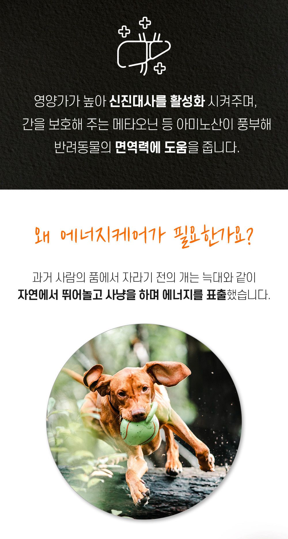 [사료샘플] 더텐 독 소프트 반건조 황태&에너지 30g 6번째