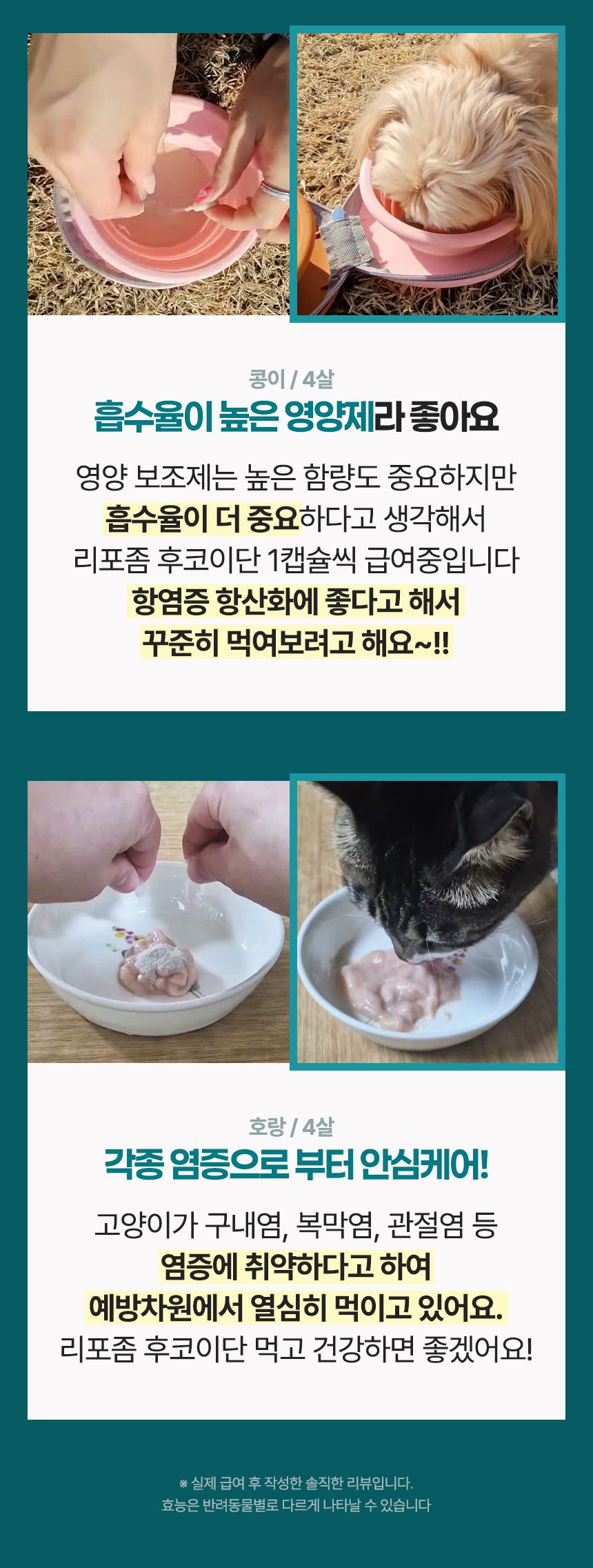 [NEW신상]펫생각 데일리케얼 후코이단 PRO 영양제 30캡슐 6번째