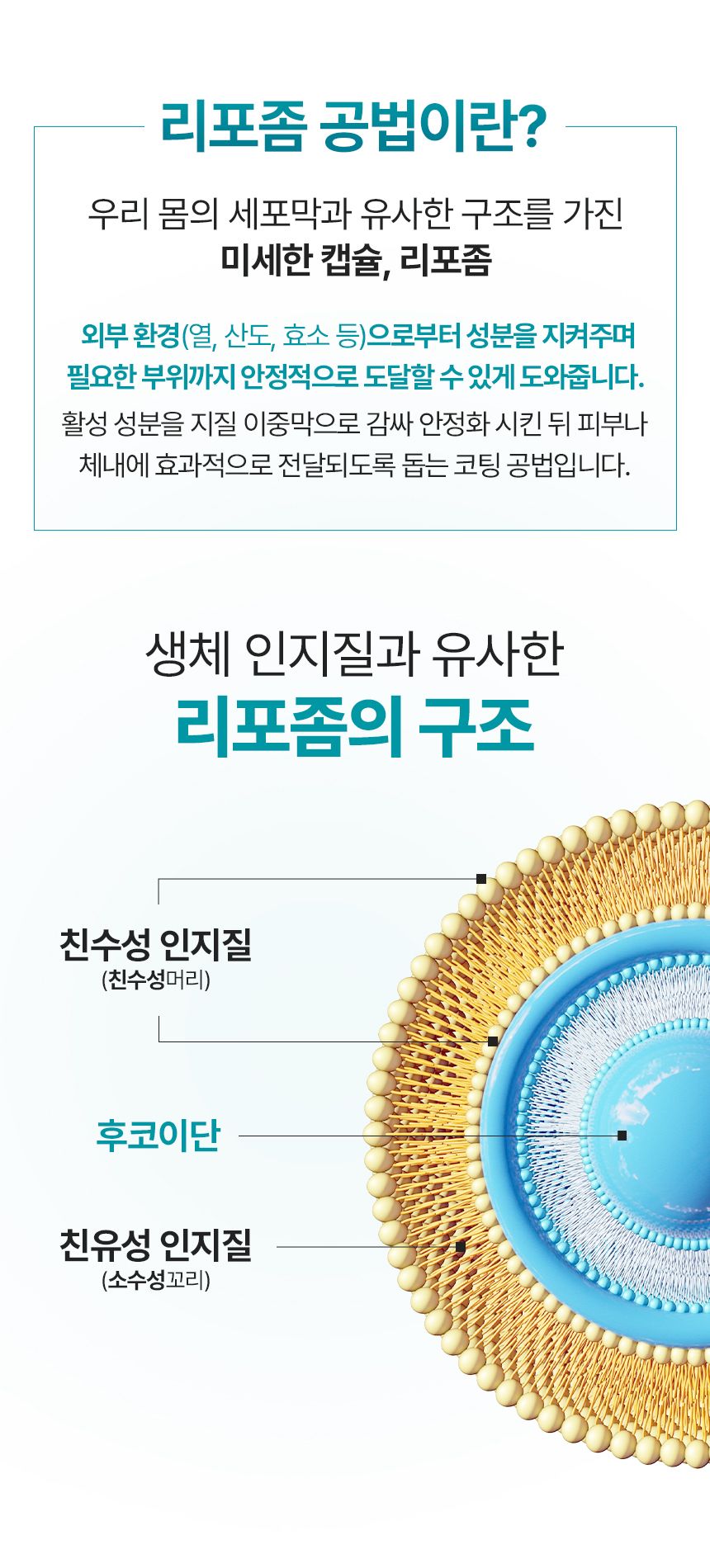 [NEW신상]펫생각 데일리케얼 후코이단 PRO 영양제 30캡슐 16번째