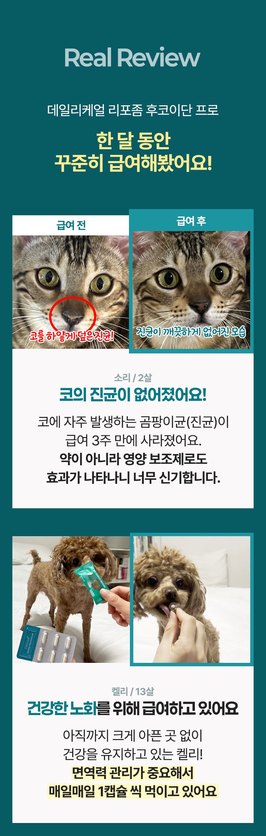 [NEW신상]펫생각 데일리케얼 후코이단 PRO 영양제 30캡슐 4번째