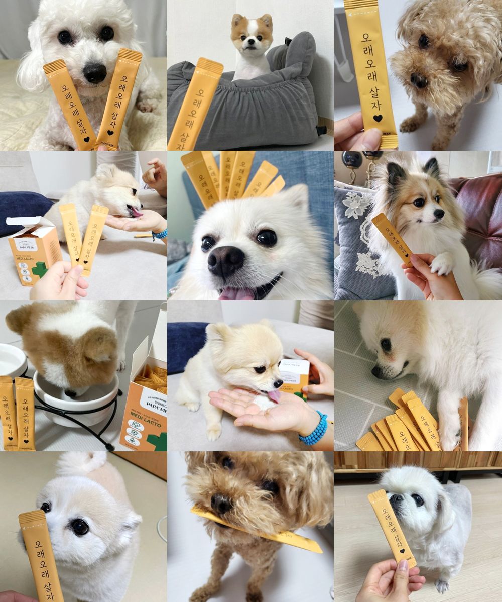 [무료배송] 파파메디 메디락토 유산균 영양제 면역력 2g*30p 3번째