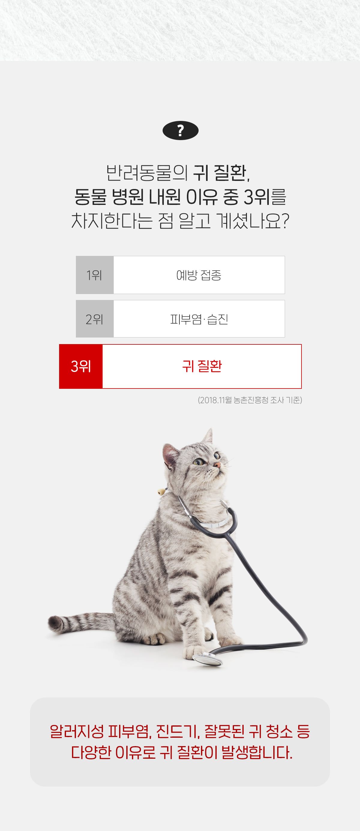 페스룸 네이처 이어 클리너 패드 50매 9번째
