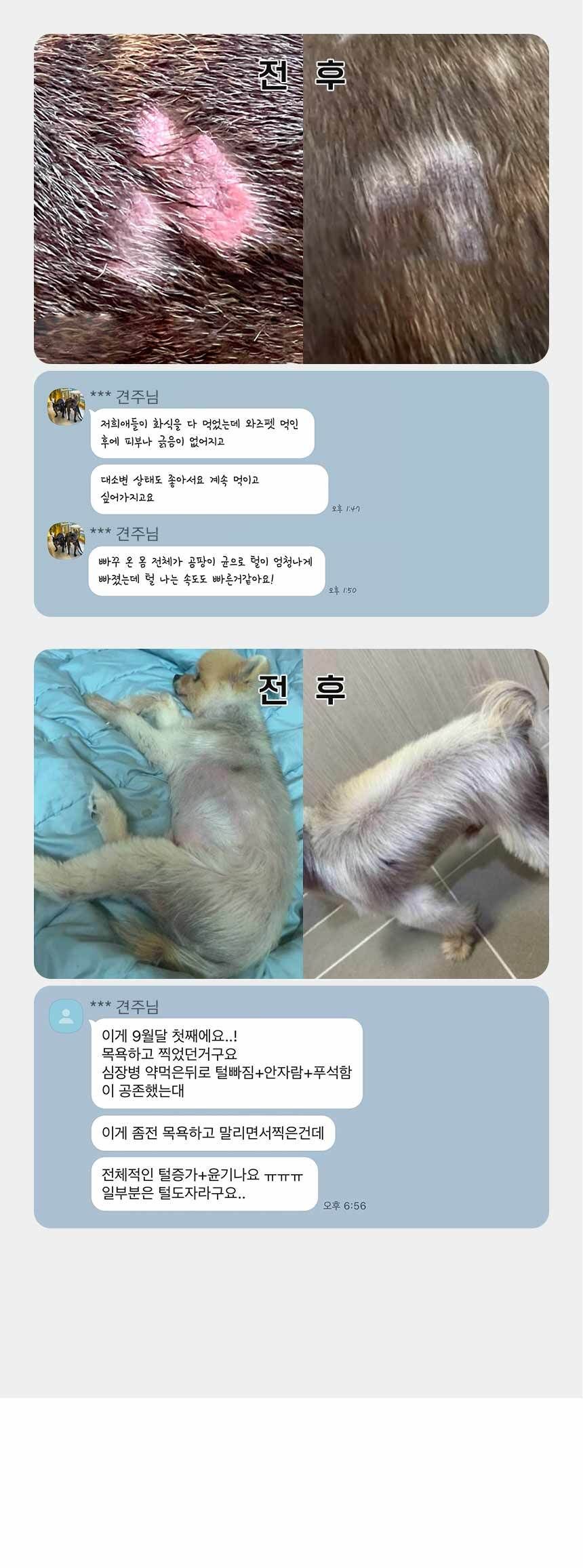 [NEW신상]와즈펫 강아지 프리미엄 화식사료 치킨 100g 25번째 상세 이미지