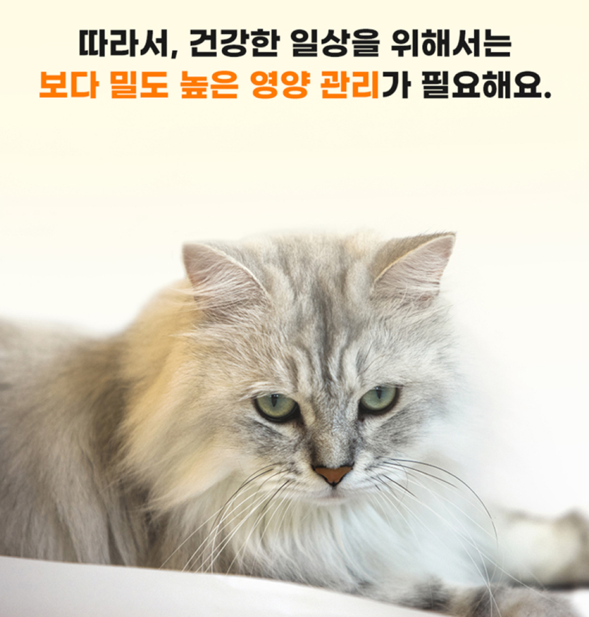 [NEW신상]스탠다드포포우 캣 종합영양제 10g*10개입 5번째