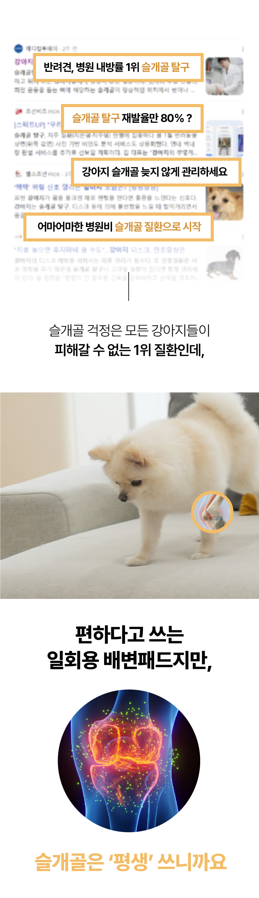 [NEW신상][무료배송] 포레그즈 독 빨아쓰는 배변패드 워시패드 (소형/중형/대형) 57번째