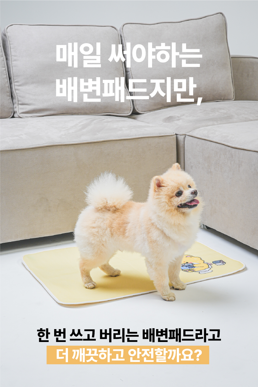 [NEW신상][무료배송] 포레그즈 독 빨아쓰는 배변패드 워시패드 (소형/중형/대형) 28번째