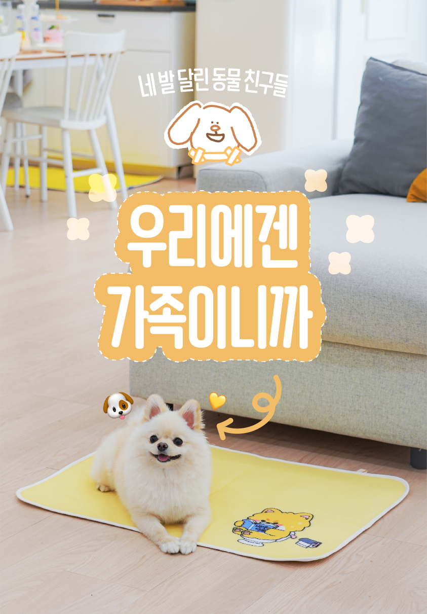 [NEW신상][무료배송] 포레그즈 독 빨아쓰는 배변패드 워시패드 (소형/중형/대형) 30번째