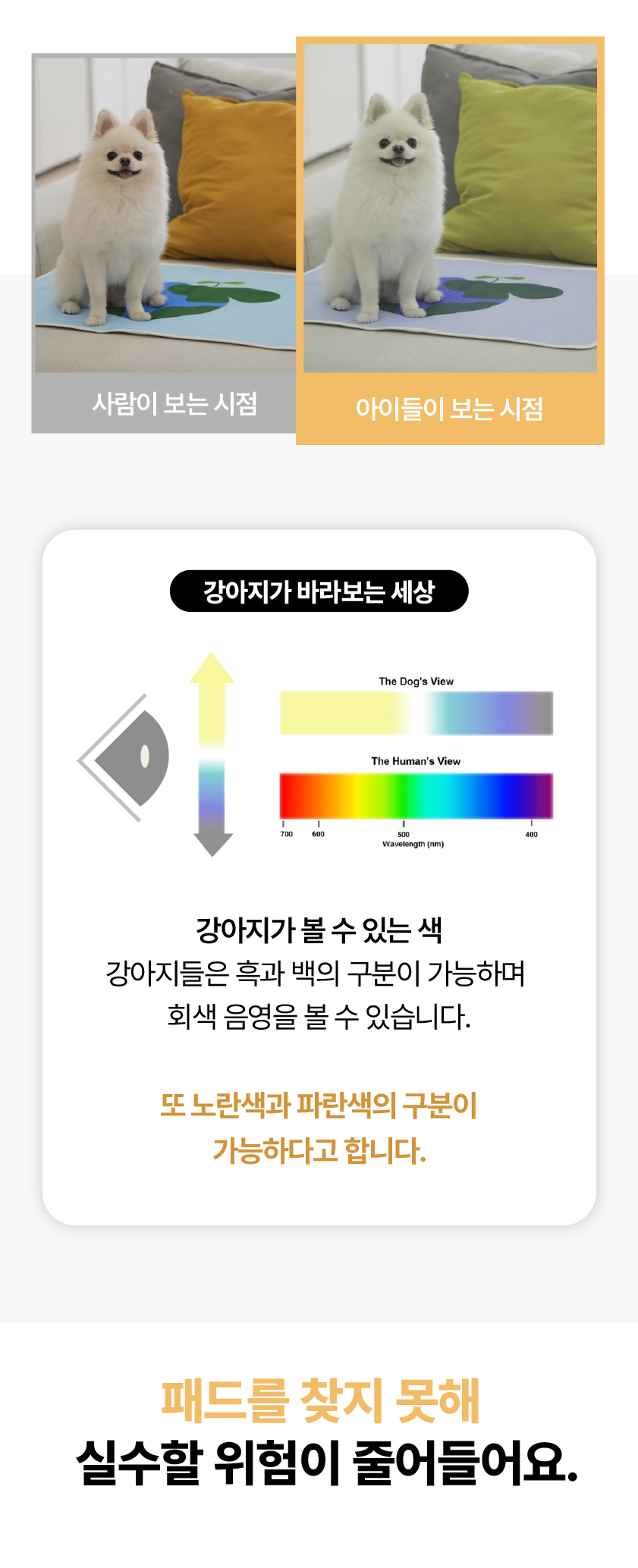 [NEW신상][무료배송] 포레그즈 독 빨아쓰는 배변패드 워시패드 (소형/중형/대형) 66번째