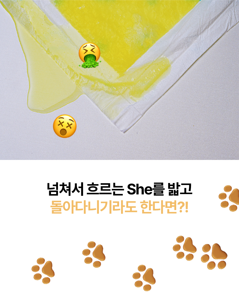 [NEW신상][무료배송] 포레그즈 독 빨아쓰는 배변패드 워시패드 (소형/중형/대형) 50번째