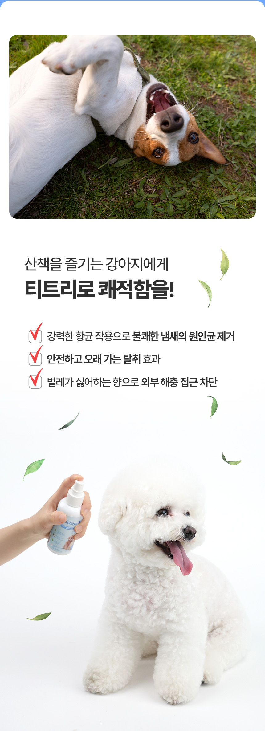 [NEW신상][무료배송] 펫토리아 스팀브러쉬 전용 티트리 디탱글러 에센스 120ml 18번째