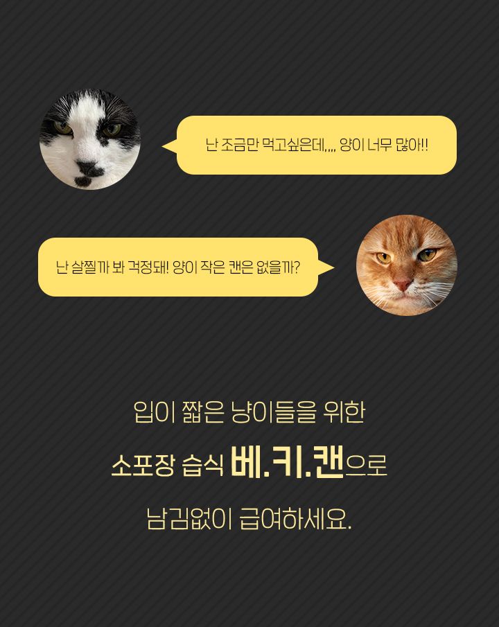 아임베키 캣 미니 연어 캔 6p 2번째
