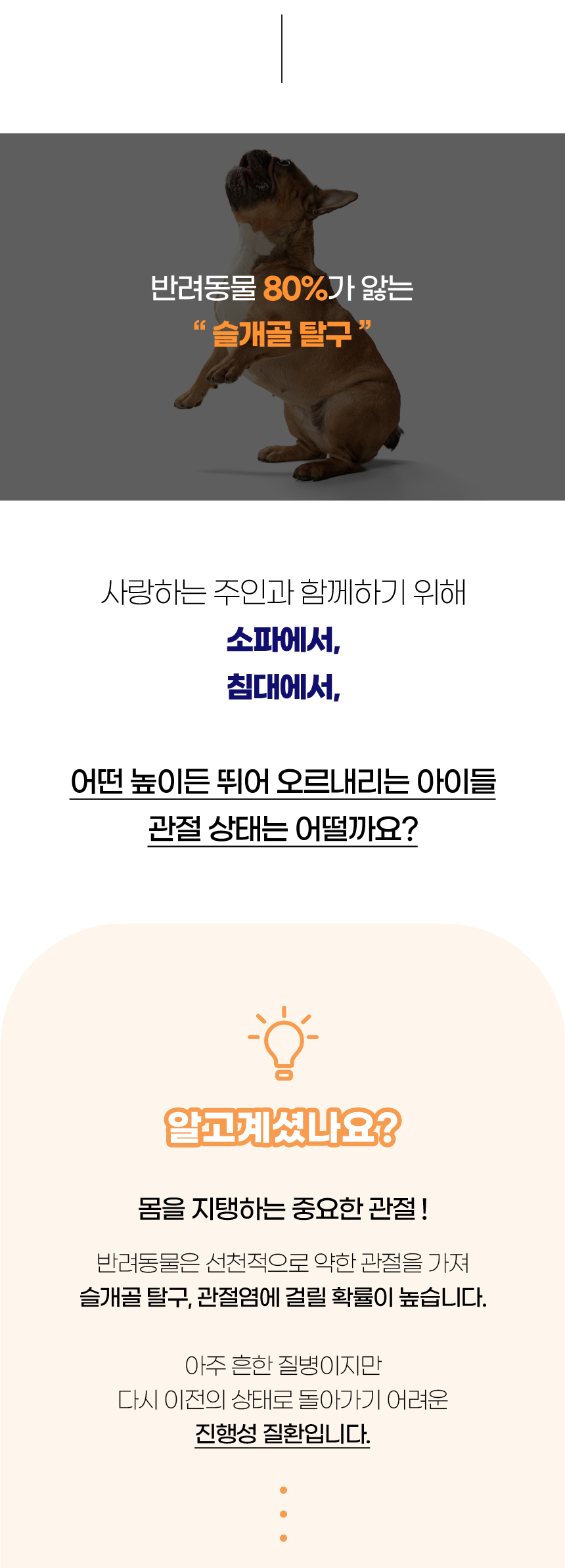 [NEW신상][무료배송] 개과천선 독 벨라 펫스텝 계단 (다크 그레이/크림 베이지) 2번째