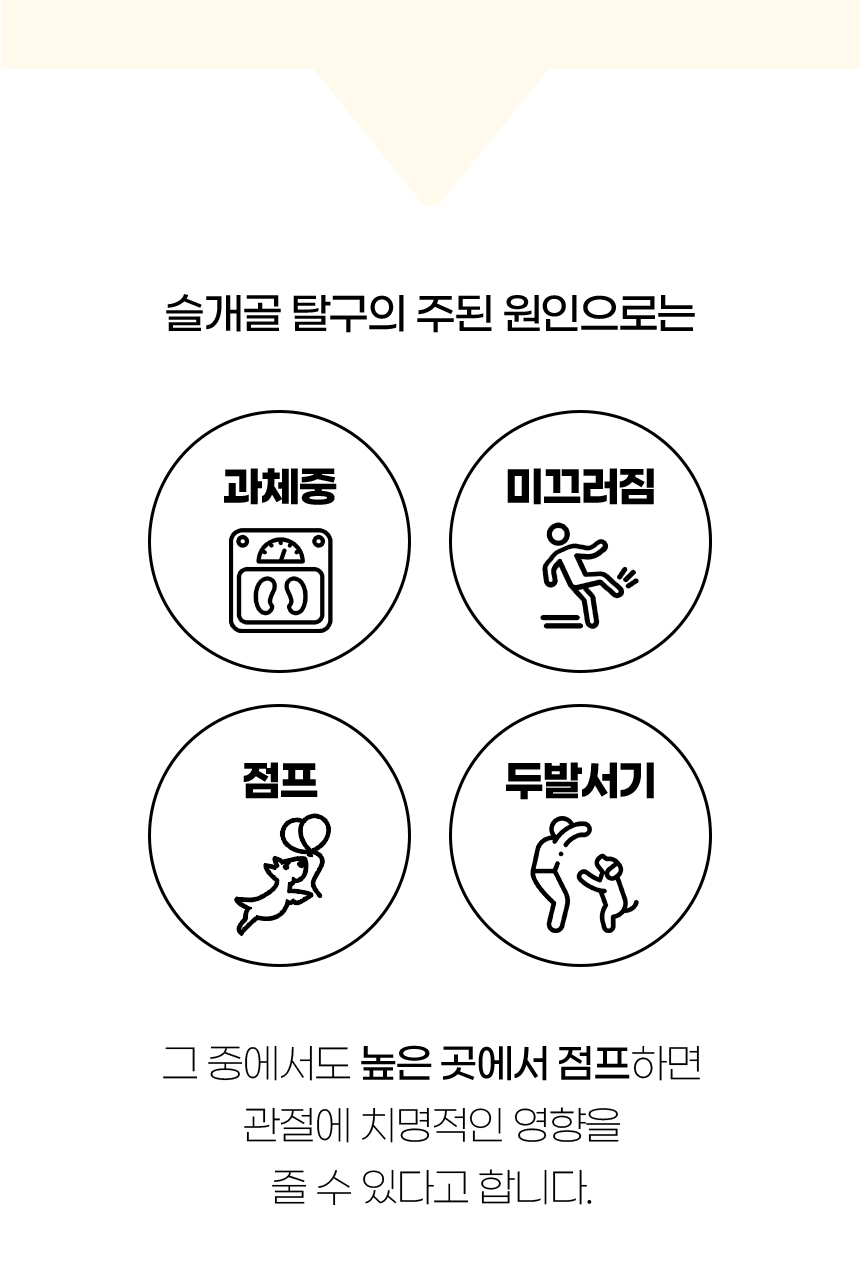 [NEW신상][무료배송] 개과천선 독 벨라 펫스텝 계단 (다크 그레이/크림 베이지) 4번째