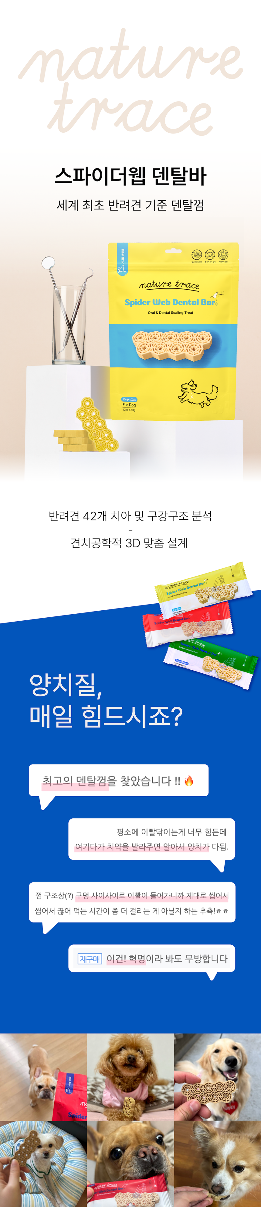 [NEW신상][무료배송] 네이처트레이스 독 스파이더웹 덴탈바 다이제스티브 12개입 4번째
