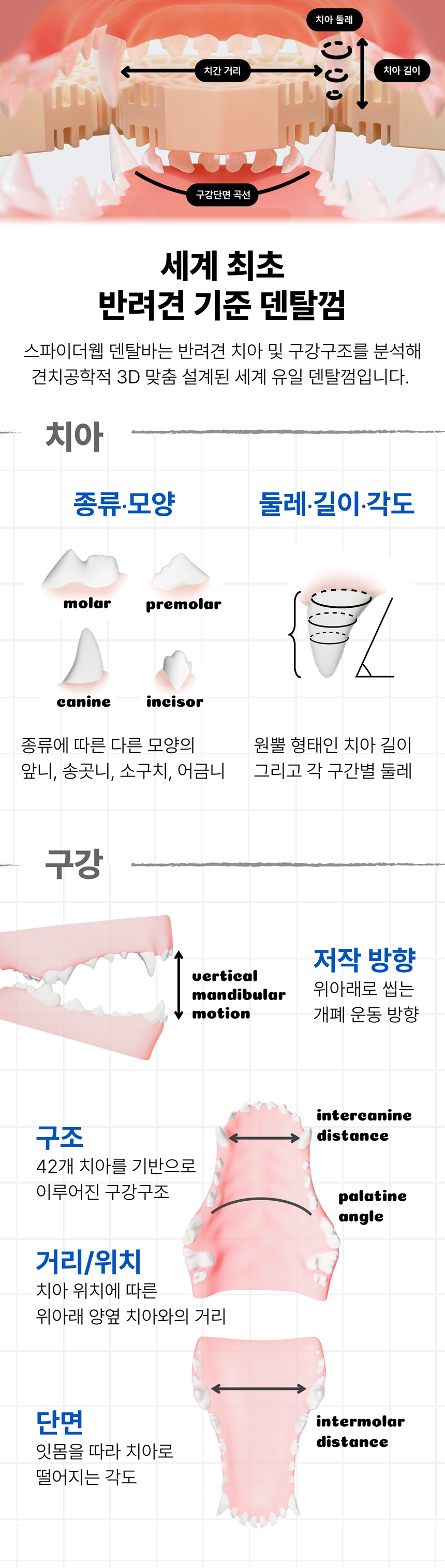 [NEW신상][무료배송] 네이처트레이스 독 스파이더웹 덴탈바 다이제스티브 12개입 8번째