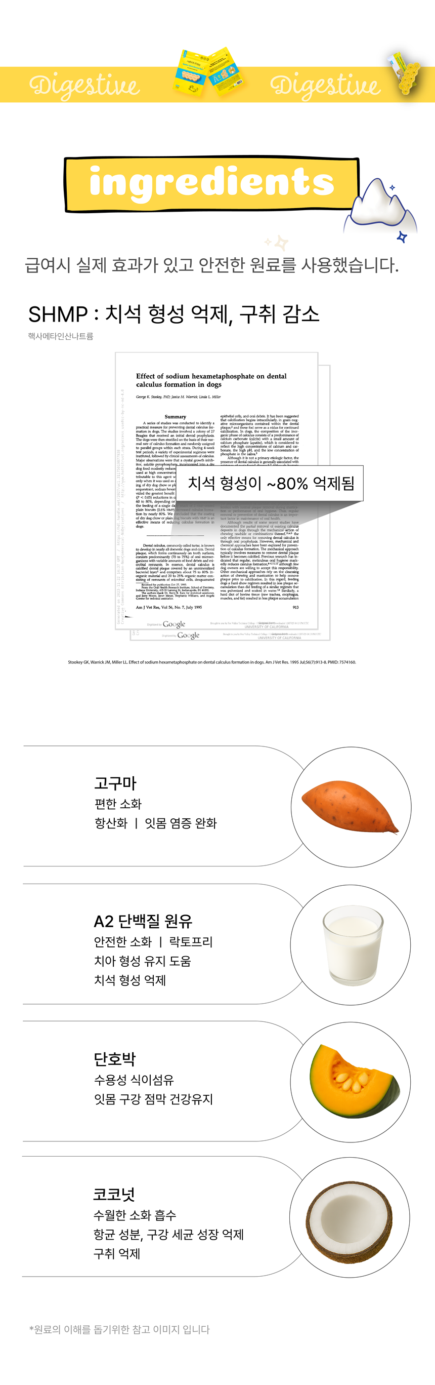 [NEW신상][무료배송] 네이처트레이스 독 스파이더웹 덴탈바 다이제스티브 12개입 16번째