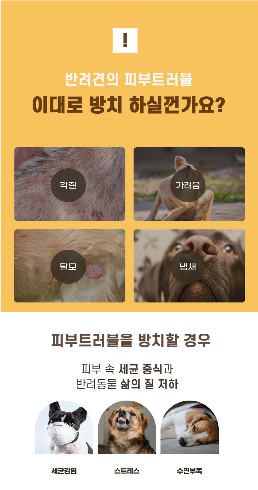 [무료배송] 바스몽 몽스파 탄산 스파 입욕제 500g 2번째