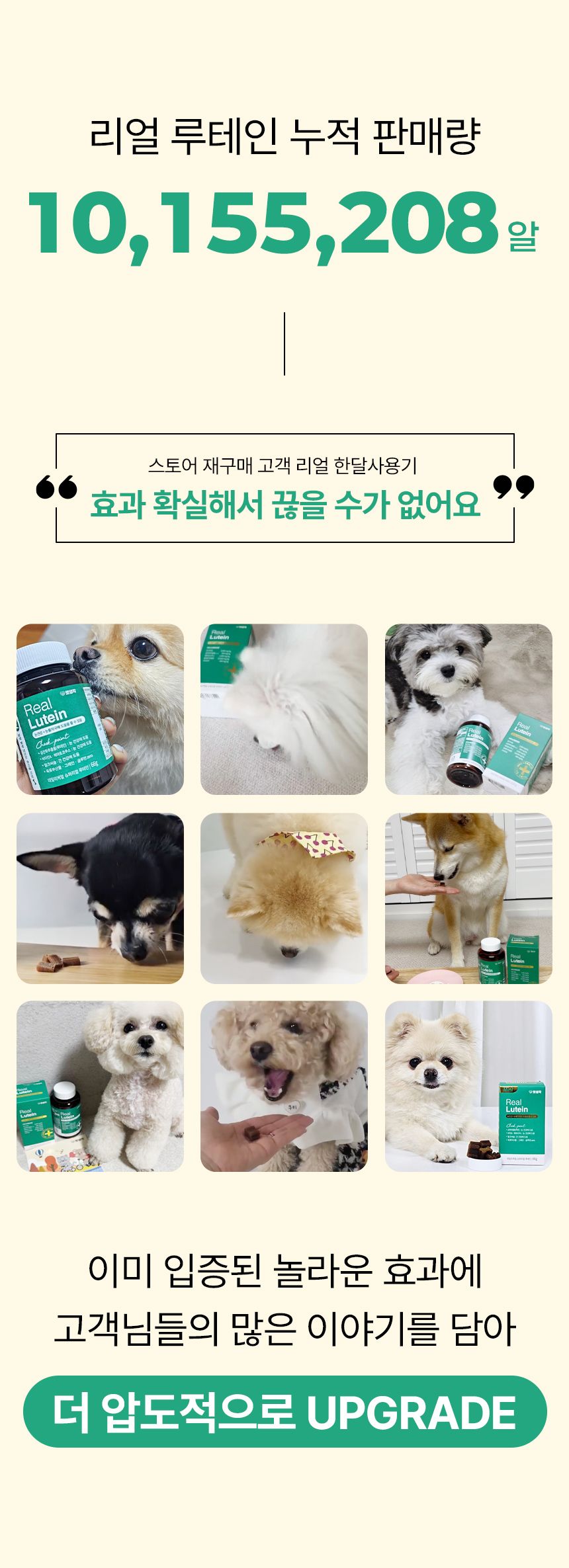 펫생각 독 미니 데일리케얼 리얼루테인 눈 영양제 66g 4번째