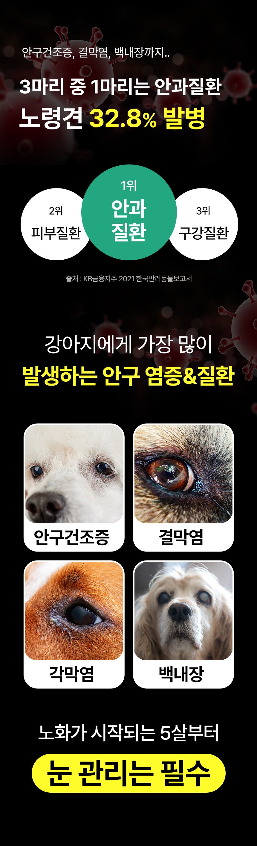 [심쿵펫페어]펫생각 독 미니 데일리케얼 리얼루테인 눈 영양제 66g  8번째