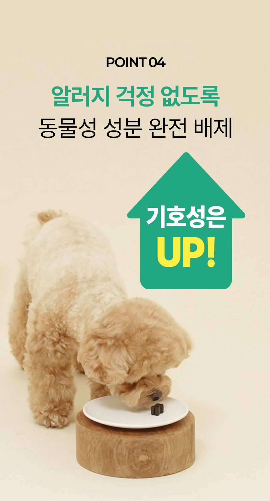 펫생각 독 미니 데일리케얼 리얼루테인 눈 영양제 66g 16번째
