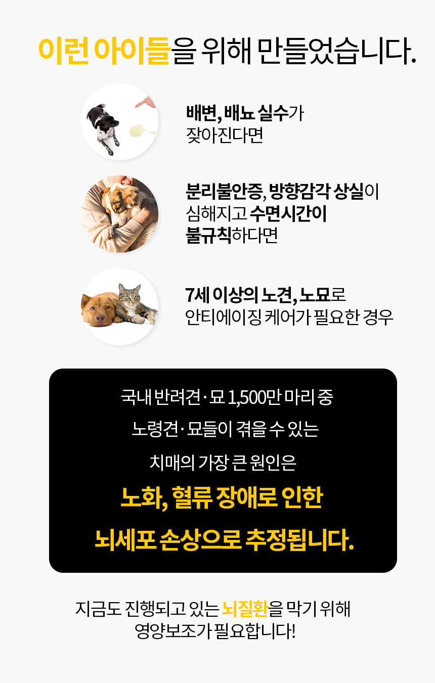 [무료배송] 닥터필름 리멤버 포스파티딜세린 커큐민 필름 영양제 인지력 수면장애 노화 보조제 30포 5번째