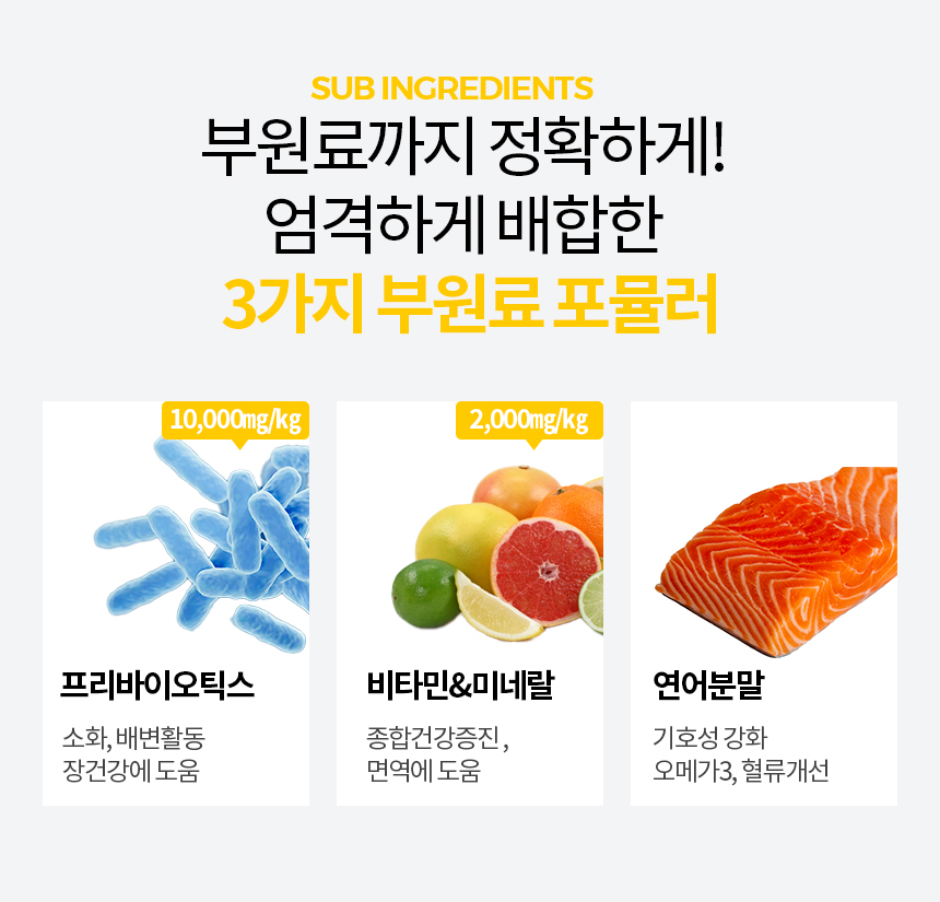 [무료배송] 닥터필름 리멤버 포스파티딜세린 커큐민 필름 영양제 인지력 수면장애 노화 보조제 30포 14번째
