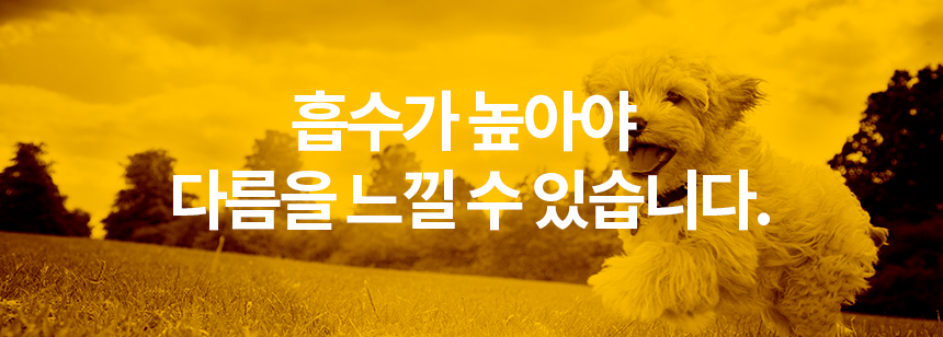 [무료배송] 닥터필름 리멤버 포스파티딜세린 커큐민 필름 영양제 인지력 수면장애 노화 보조제 30포 6번째